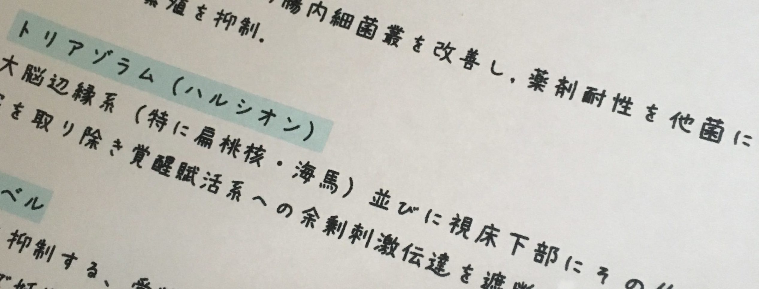 あんず文字で書かれたノート