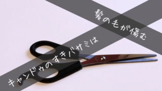 トイレで冷や汗 血管迷走神経失神かも 顔面蒼白 吐き気がでる オカネをかけずに 暮らしを工夫するブログ