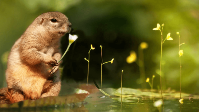 マッチングアプリ見切り時は 進展しない関係どこまで待つべき オカネをかけずに 暮らしを工夫するブログ