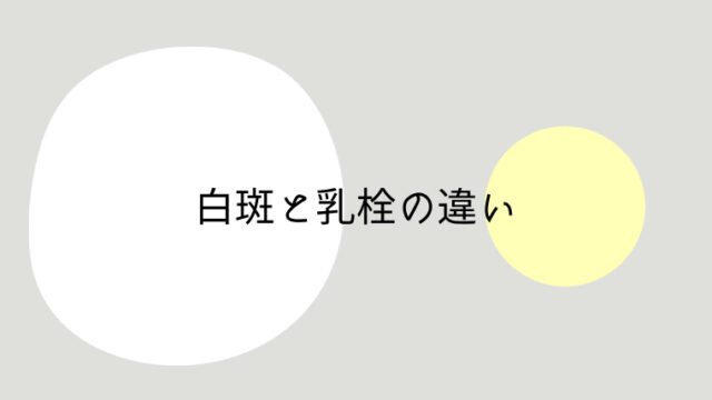 白斑と乳栓の違いわかりますか 取り方と予防法も解説 オカネをかけずに 暮らしを工夫するブログ